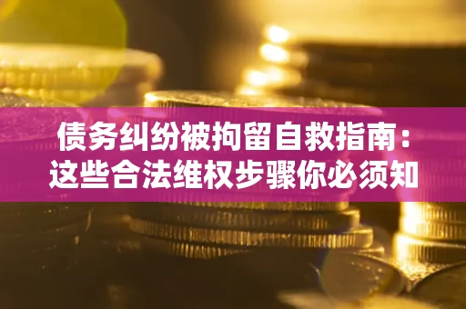 北京债务纠纷被拘留自救指南：这些合法维权步骤你必须知道！