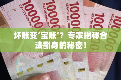 北京坏账变‘宝账’？专家揭秘合法翻身的秘密！