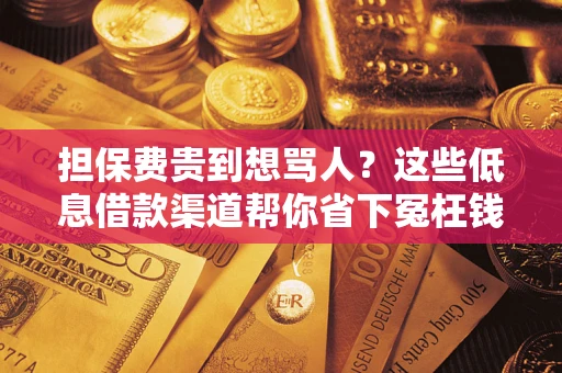 北京担保费贵到想骂人？这些低息借款渠道帮你省下冤枉钱